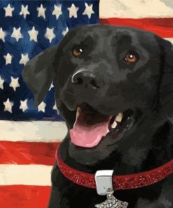 Black Lab With Flag Diamond Painting