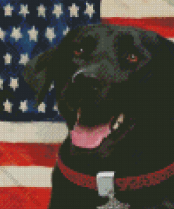 Black Lab With Flag Diamond Painting