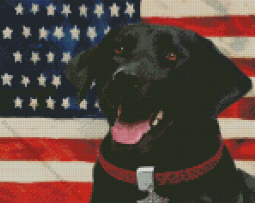 Black Lab With Flag Diamond Painting