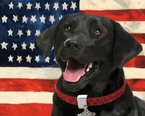 Black Lab With Flag Diamond Painting