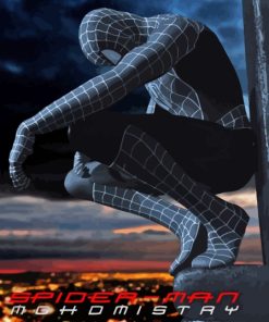 Black Spiderman Poster Diamond Painting