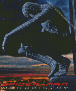 Black Spiderman Poster Diamond Painting