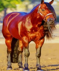 Blood Bay Quarter Horse Diamond Painting