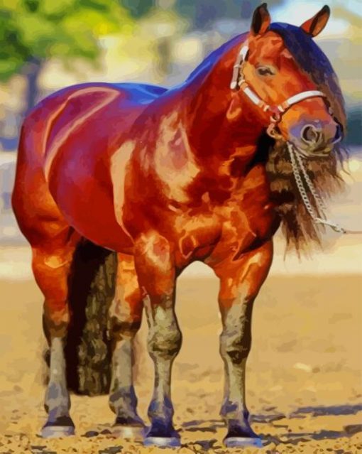 Blood Bay Quarter Horse Diamond Painting