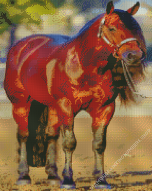 Blood Bay Quarter Horse Diamond Painting