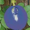 Butterfly Pea Flower Diamond Painting