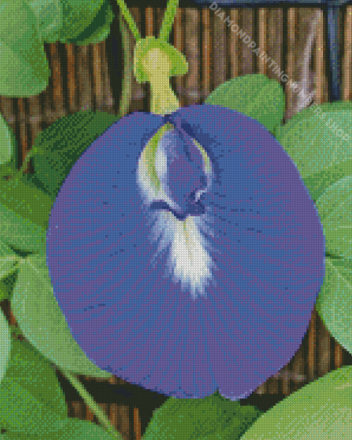 Butterfly Pea Flower Diamond Painting