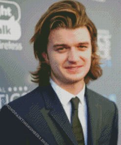 Classy Joe Keery Diamond Painting