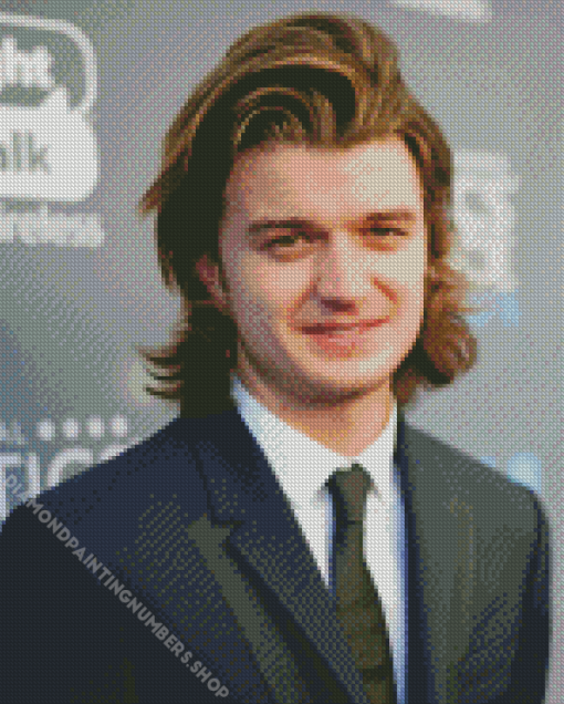 Classy Joe Keery Diamond Painting