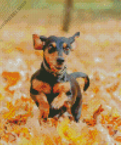 Dachshund Dog In Leaves Diamond Painting