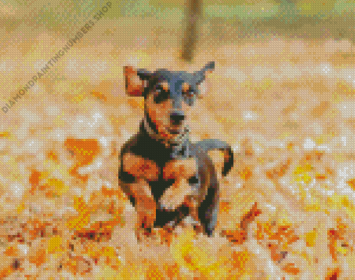 Dachshund Dog In Leaves Diamond Painting