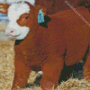 Fluffy Baby Cow Diamond Painting