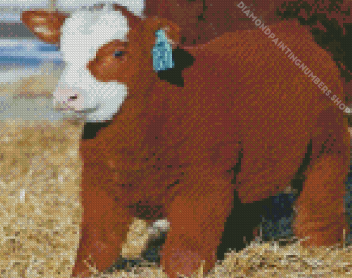 Fluffy Baby Cow Diamond Painting