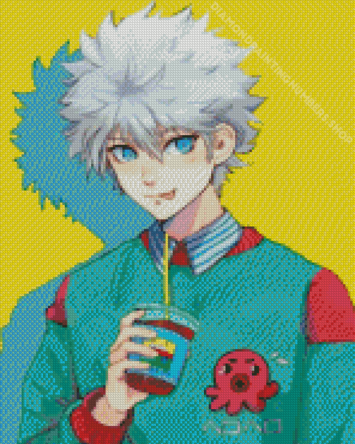 Killua Zoldyck Fanart Diamond Painting