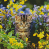 Little Cat In Garden Diamond Painting