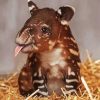 Little Tapir Diamond Painting