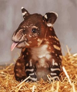 Little Tapir Diamond Painting