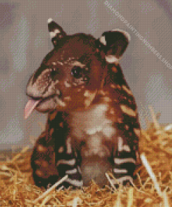 Little Tapir Diamond Painting