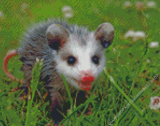 Possum Baby Diamond Painting