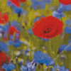 Red Poppies And Blue Cornflowers Diamond Painting