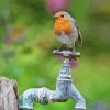 Robin On Old Tap Diamond Painting