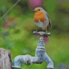 Robin On Old Tap Diamond Painting