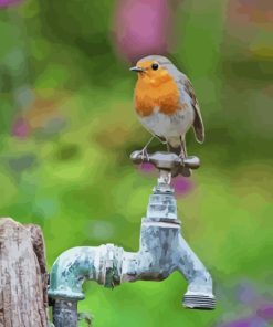 Robin On Old Tap Diamond Painting