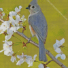 Tufted Titmouse Diamond Painting