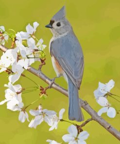 Tufted Titmouse Diamond Painting