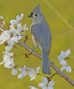 Tufted Titmouse Diamond Painting