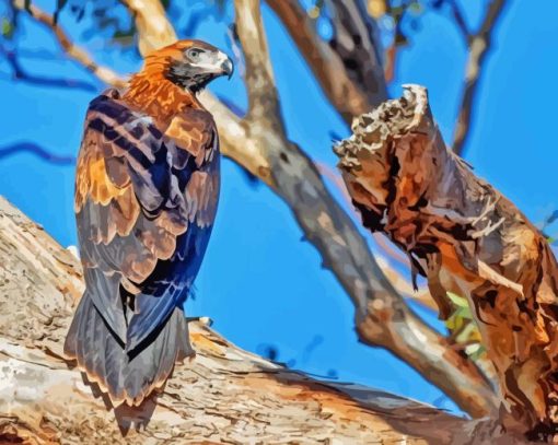 Wedge Tailed Eagle Diamond Painting