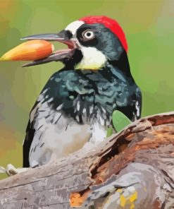 Acorn Woodpecker Diamond Painting