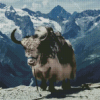 Aesthetic Grey Yak Diamond Painting