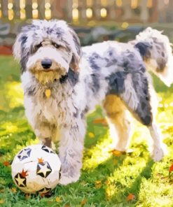 Aussiedoodle Plying With Ball Diamond Painting