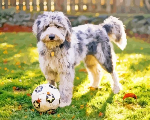 Aussiedoodle Plying With Ball Diamond Painting