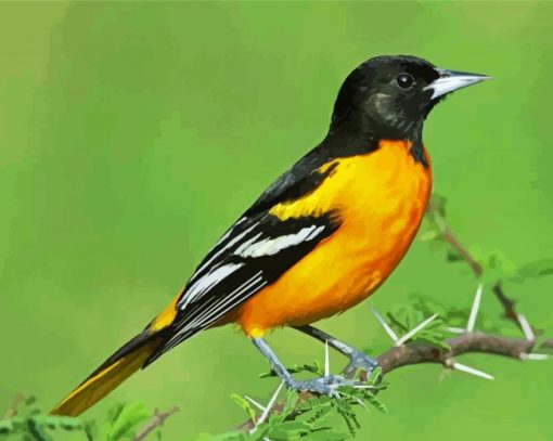 Baltimore Oriole Bird Diamond Painting