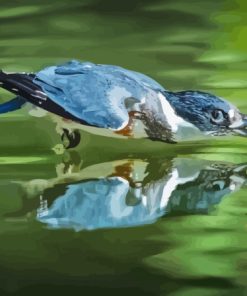 Belted Kingfisher Diamond Painting