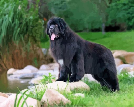 Black Newfie Dog Diamond Painting