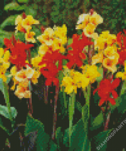 Canna Flowering Plant Diamond Painting