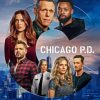 Chicago Pd Poster Diamond Painting