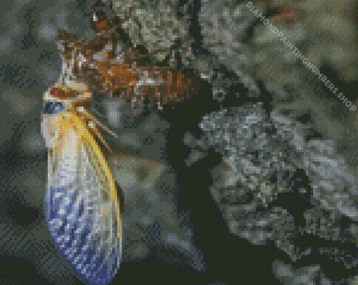 Cicadas Changing Skin Diamond Painting