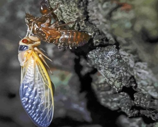 Cicadas Changing Skin Diamond Painting