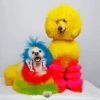 Colorful Poodle Dogs Diamond Painting