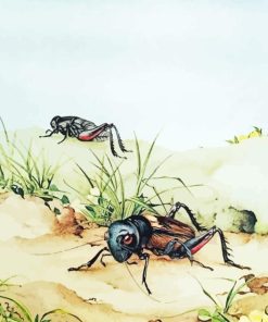 Cricket Insects Diamond Painting