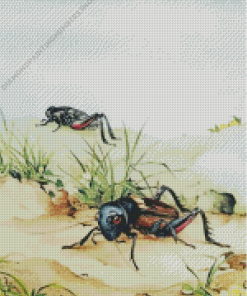 Cricket Insects Diamond Painting