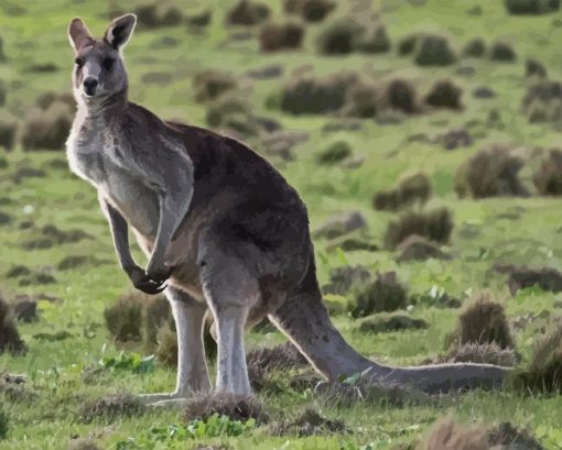 Eastern Grey Kangaroo Diamond Painting