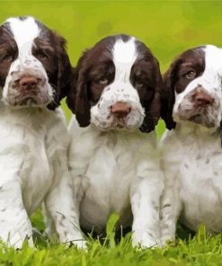 English Springer Spaniel Dogs Diamond Painting