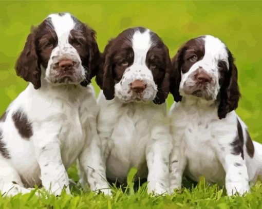 English Springer Spaniel Dogs Diamond Painting