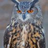 Eurasian Eagle Owl Bird Diamond Painting