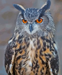 Eurasian Eagle Owl Bird Diamond Painting